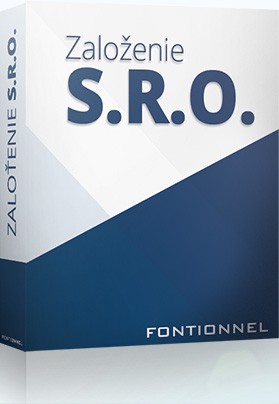 Foundation of a Limited Liability Company